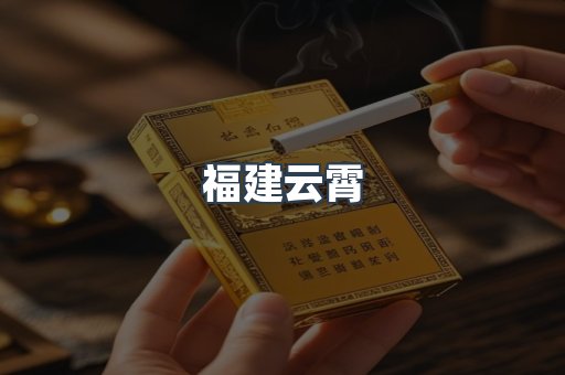 福建云霄